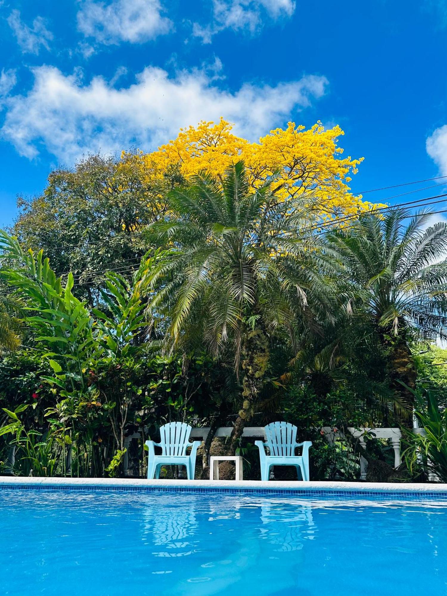 Hospedaje Colibri Manuel Antonio Exterior foto